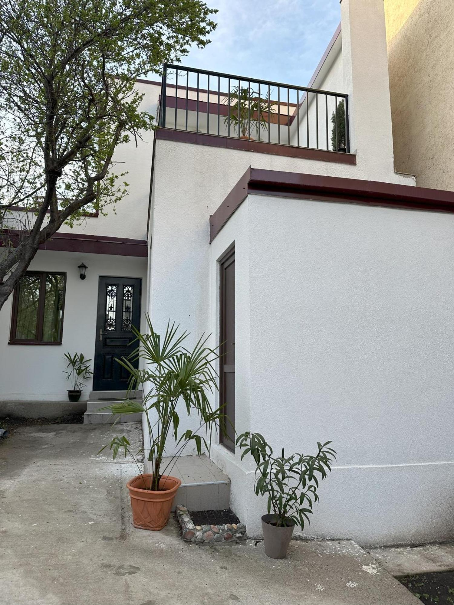 Three Palms Guest House Тбилиси Экстерьер фото